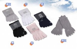 【大山野營】新店桃園 SNOW TRAVEL AH-19